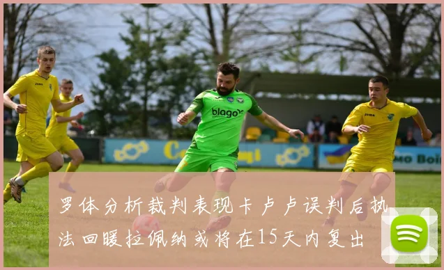 罗体分析裁判表现卡卢卢误判后执法回暖拉佩纳或将在15天内复出
