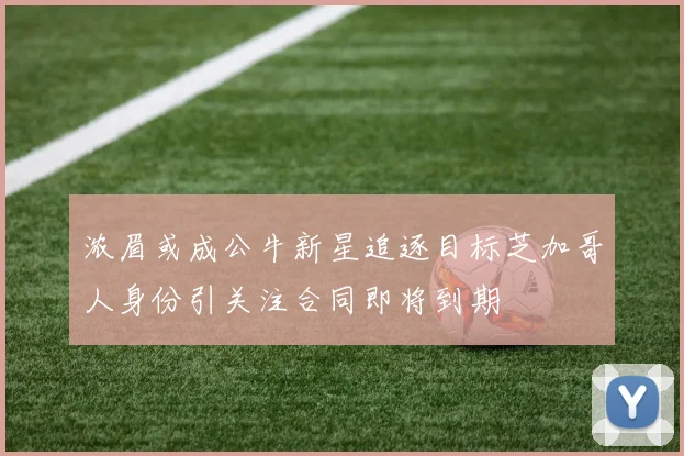 浓眉或成公牛新星追逐目标芝加哥人身份引关注合同即将到期